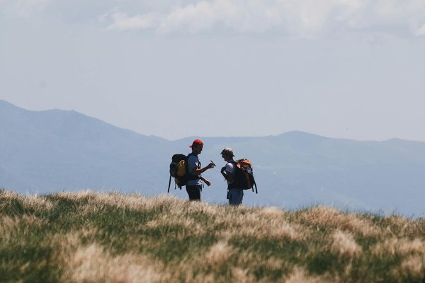 Explore the UK's Literary Heritage: An Ultimate Guide to Cruises with VIP Access to Famous British Libraries