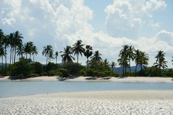 Explore Your Dream London Getaway: The Ultimate Guide to Vacation Rentals Near Iconic Historic Walking Tours